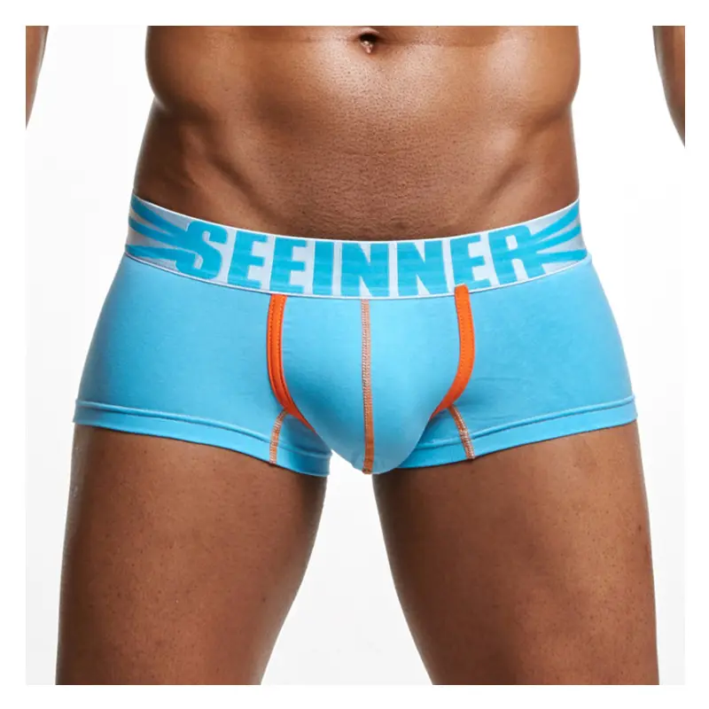 Custom Boxer Trunks Men Fashion Underwear Male boxer shorts big logo Boxer short