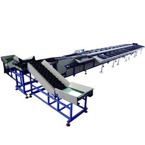 Línea de Lavado, Encerado, Secado y Clasificación por Peso de Frutas, Máquinas de Lavado, Pulido y Clasificación de Frutas, Máquinas de Clasificación por Peso de Frutas - Product Image 1