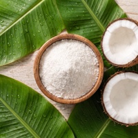 Poudre de lait de coco crémeuse séchée par pulvérisation de qualité supérieure pour la restauration en gros, les services alimentaires, les restaurants, les hôtels et la restauration collective