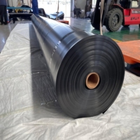 Geomembran HDPE LLDPE PVC EVA Anti-UV Berkualitas Tinggi untuk Penutup TPA, Irigasi, Kolam, Bendungan, Tambak Ikan, Pertambangan, Tahan Air