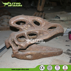 Cráneo de Dinosaurio T-REX a Escala 1:1 para Museo - Product Image 6