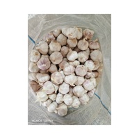 Nouvelle récolte d'ail chinois de 5,5 cm, ail blanc normal de Chine, prix en Arabie Saoudite, provenant d'un fournisseur du Shandong