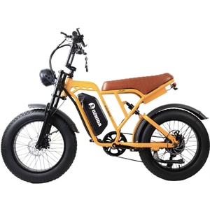 Bicicleta Eléctrica Deportiva de Alta Velocidad con Llantas para Nieve de 20 Pulgadas, Batería de Litio de 48V 15Ah, Suspensión Completa, Frenos de Disco Mecánicos y Motor sin Escobillas - Product Image 2