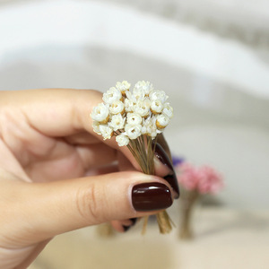 Accesorio en Miniatura para Casa de Muñecas, Ramo de Flores Secas, Flor Estrella Brasileña Fresca en una Botella de Vidrio K515 - Product Image 3