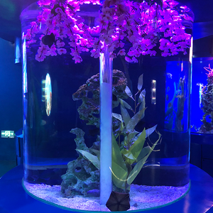 Panneau d'aquarium acrylique grand aquarium acrylique taille personnalisée 100% matériel d'importation - Product Image 2