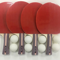 Custom ized Hot Sale 4 Spieler Profession elle Tischtennis schläger Pingpong Paddel Set mit 8 Bällen