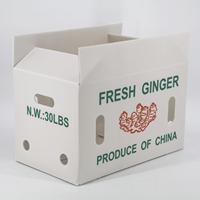 Conteneur en PP ondulé recyclable pour gingembre, étanche, lavable, empilable, dégradable, pour la récolte de gingembre frais en ferme