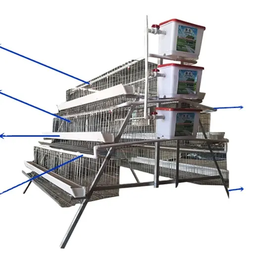 Progettazione automatica della gabbia del piccione del sistema di abbeveraggio di vendita calda dell'azienda agricola