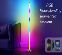 Lampes LED collées à piles rechargeables Colorful Pickup Rhythm Lamp for Hotel Home Ball DJ Bar Atmosphere Decorating Lights