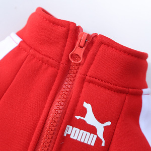 Sudadera de Invierno para Perros, Ropa para Perros Pequeños y Medianos, Chaqueta Cálida de Forro Polar con Cierre, Chaqueta para <span class=keywords><strong>Chihuahua</strong></span> y Bulldog Francés - Product Image 5