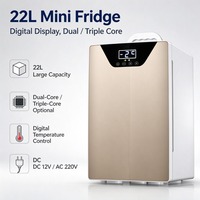 Kulkas Mini 22L, Kulkas Kosmetik, Kulkas Perawatan Kulit, Layar Digital, Pendingin Semikonduktor Dual Core, AC DC untuk Asrama, Mobil, Makeup