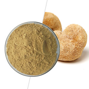 Extrait d'Hericium Erinaceus, extrait de champignon crinière de lion, poudre de crinière de lion - Product Image 1