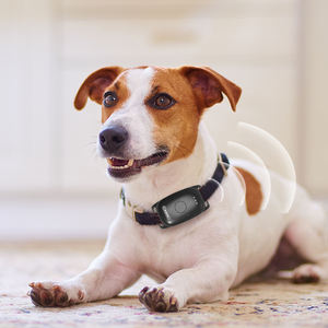 <span class=keywords><strong>Collar</strong></span> Localizador <span class=keywords><strong>GPS</strong></span> 4G con Batería de Larga Duración e Impermeable para Perros - Product Image 4