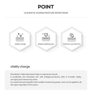 [ La Chomb ] Crème LA BLANCHE 60ml - Product Image 6