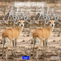 Caméra de chasse extérieure 4G 48MP avec vision nocturne IR, caméras de surveillance IP67 étanches pour la faune