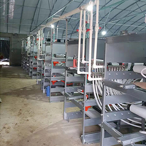 Cage pour poulets de chair à batterie automatisée de 5 à 6 semaines, nouvelle maison de couche de condition pour l'utilisation de la ferme de lapins et d'oiseaux pour les fermes du Kenya - Product Image 2
