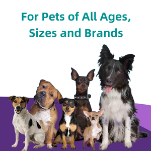 थोक मूल्य आहार फाइबर और आंत स्वास्थ्य समर्थन पालतू जानवरों की खुराक और सभी नस्लों के लिए विटामिन कुत्ते प्रोबायोटिक्स - Product Image 3