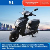 Trottinette Électrique Urbaine à Grand Cadre SL Shangle 1000W 48V 25km/h Batterie Lithium Charge 60KG Fabricant de Trottinettes Électriques Urbaines