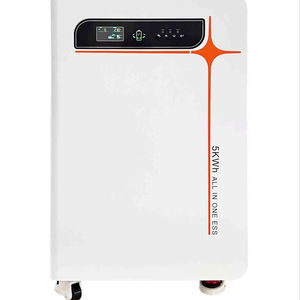 Système de stockage d'énergie solaire tout-en-un à onde sinusoïdale pure 5500W 100A MPPT avec batterie LiFePO4 230V pour maison hors réseau - Product Image 1