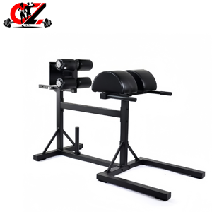 CZFIT Silla Romana Multifuncional Profesional para Gimnasio, Entrenador de Músculos Abdominales, de Espalda y Cintura, para Hiperextensión, Unisex - Product Image 1