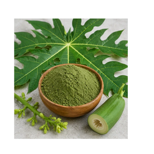 Poudre d'extrait sec de feuille de papaye Carica Papaya, poudre de feuille botanique à base de plantes, ingrédient végétal naturel pour les produits de compléments alimentaires - Product Image 1