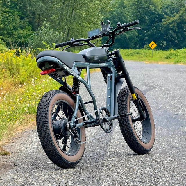 Full Suspension 60V 1200W Electric Bicycle with Rear Hub Motor City E Bicycle Alloy & Lithium Battery Private Model E Bike