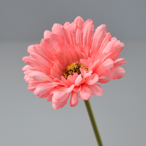 Vendita calda artificiale a forma corta Gerbera <span class=keywords><strong>margherita</strong></span> singolo ramo decorazione per soggiorno matrimonio <span class=keywords><strong>margherita</strong></span> di seta decorativa - Product Image 4