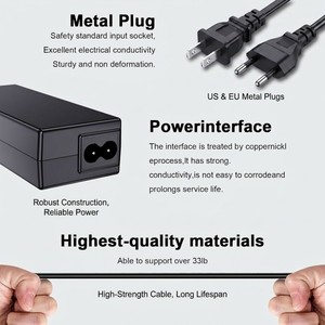 Adaptateur de <span class=keywords><strong>chargeur</strong></span> de batterie Li-ion 29,4 V 2 A pour vélo électrique, scooter, batterie au lithium LifePO4 7S 24 V 25,2 V 29,4 V - Product Image 5