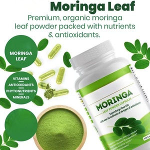 Polvo de Moringa Vegetariano con Beneficios Antioxidantes, Cápsulas de Moringa Orgánica Vegana, Suplemento Natural de Extracto de Moringa en Cápsulas - Product Image 5
