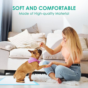 Tappetini Assorbenti per Addestramento Cani 60X90cm, Usa e Getta, con Certificato Reach, Vendita all'Ingrosso - Product Image 5