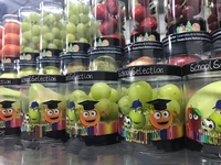 Emballage de tube rond de cylindre en plastique d'acétate recyclable personnalisé avec l'emballage de tube rond de conteneur de fruit de poignée