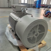 Moteur à induction à cage d'écureuil refroidi par air haute efficacité 220V 380V 250kW 315kW 500kW IP55 pour l'exploitation minière et la métallurgie