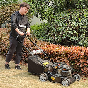 Tagliaerba Semovente a 4 Tempi Monocilindrico Fai-da-Te con Cesto Raccoglierba Industriale - Product Image 6