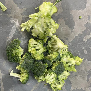 เครื่องตัดและแยกช่อบร็อคโคลี่กึ่งอัตโนมัติอุปกรณ์แปรรูปผัก304ความแม่นยำสูง - Product Image 6