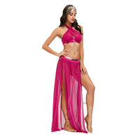 Carnaval Cosplay arabe princesse Costume femmes Sexy dos nu maille robe de danse du ventre