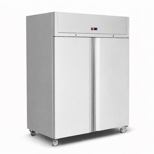 Refrigerador Vertical Comercial de Acero Inoxidable de Temperatura Única para Restaurante, Congelador Vertical de 2 Puertas - Product Image 1