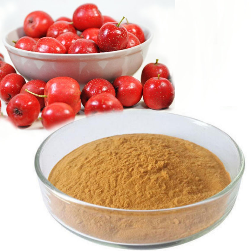 Maslinic acid 10% Hawthorn berry extract Whitethorn leaves extract