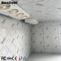 -60 ℃   à 20 ℃   Chambre froide modulaire commerciale avec panneaux isolés en PU pour la viande et les fruits de mer