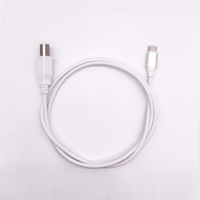 Großhandel USB 2.0 Druckerkabel Flüssigsilikon Reinkupferleiter TPE-Geflechtabschirmung Verlängerung 1M Schnelles Drucker-Computer-Kabel