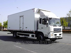 Nuevo camión congelador de transmisión Manual diésel 4x2 Euro 3 con capacidad de 10 toneladas con camiones refrigeradores de cuerpo de carga resistente - Product Image 5