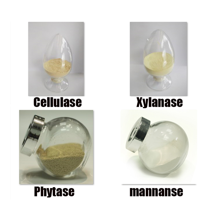 full circle 668 for pig feed