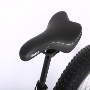 Bicicleta Eléctrica con Motor en el Buje Trasero de 1000W, Batería de Litio de 48V, Largo Alcance, Neumáticos Anchos, Suspensión Completa, QD-ATV03-A, Potente Bicicleta Todoterreno - Product Image 5