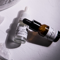 Au détail Essentiel Huile Parfum En Verre De Couleur Claire Cristal Diffuseur Aromathérapie Pierres Ensemble