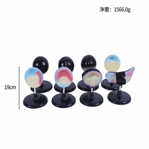 Chất lượng cao sinh học hỗ trợ giảng dạy vật liệu PVC ếch phôi mô hình phát triển - Product Image 6