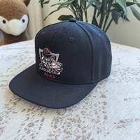 Casquette de baseball à visière plate avec logo personnalisé, 6 panneaux structurés en coton, style skateboard urbain, broderie, fournisseur en gros OEM