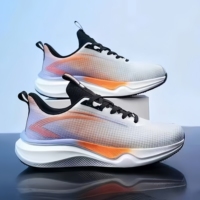 Chaussures de sport de loisirs d'extérieur tendance de luxe léger de haute qualité, personnalisables, vente directe d'usine OEM