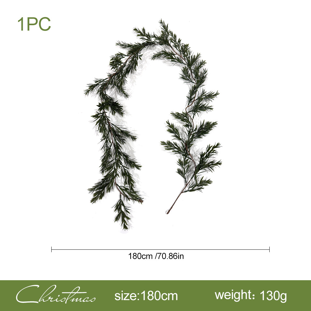หวาย Podocarpus macrophyllus ยาว 1.8 เมตร