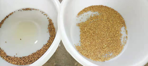 Macchina per la lavorazione della ciliegia del <span class=keywords><strong>caffè</strong></span> separatore di colore e selettore del chicco di <span class=keywords><strong>caffè</strong></span> selezione per <span class=keywords><strong>caffè</strong></span> naturale e tostato - Product Image 6