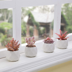 OFFERTA SPECIALE Set di 4 Piccoli <span class=keywords><strong>Fiori</strong></span> Artificiali di Succulente <span class=keywords><strong>Rosa</strong></span> in Vaso di Ceramica Bianca con Materiale PE per Decorazione Ufficio - Product Image 5