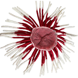 Goodluck - Parche de Cabello Humano 100% Transpirable con Base de Encaje Completo, Textura Trenzada, para <span class=keywords><strong>Hombre</strong></span> - Product Image 1